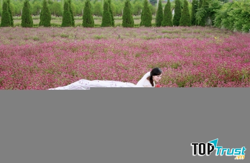 Ảnh minh họa (nguồn internet)