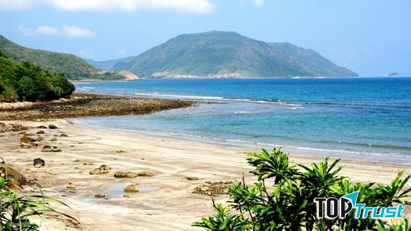 Ảnh minh họa (nguồn internet)