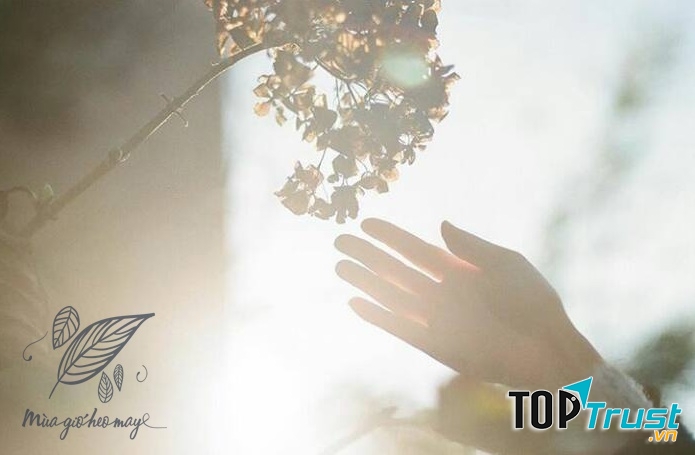 Ảnh minh họa (nguồn internet)