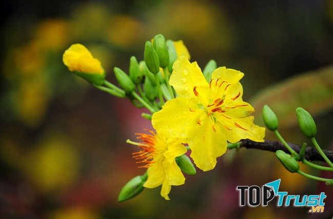 Ảnh minh họa (nguồn internet)