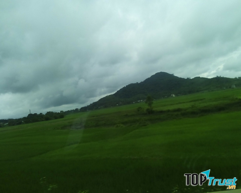 Ảnh minh họa Nguyễn Hương