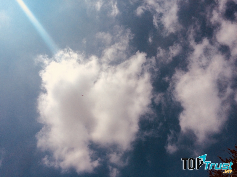 Ảnh minh họa Nguyễn Hương