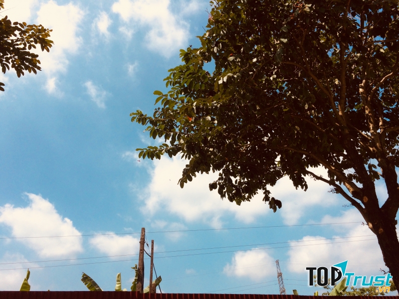 Ảnh minh họa Nguyễn Hương