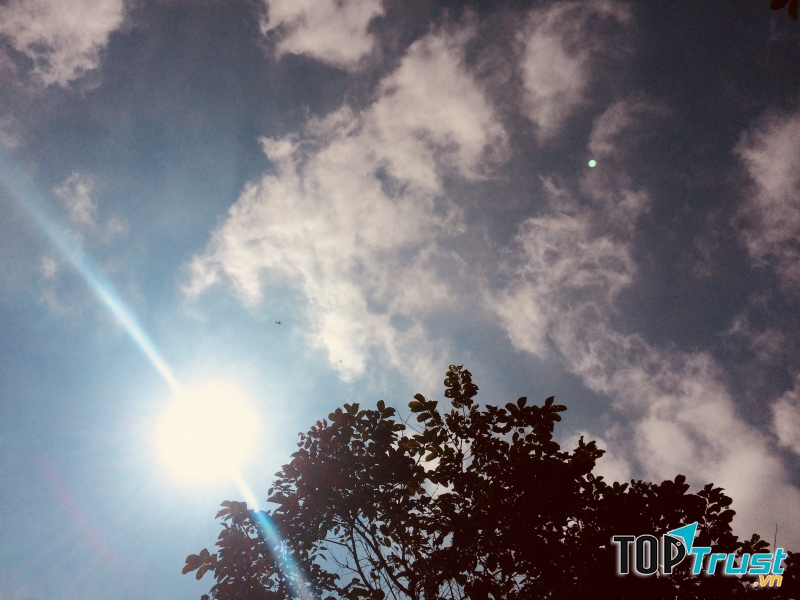 Ảnh minh họa Nguyễn Hương