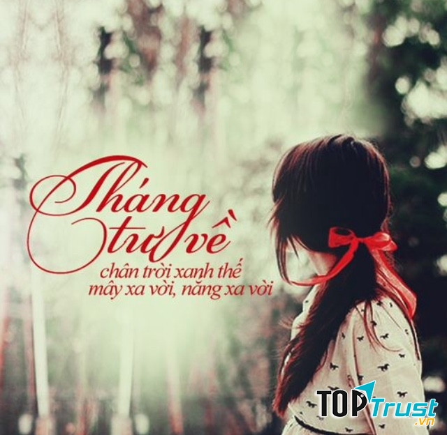 Ảnh minh họa (nguồn internet)