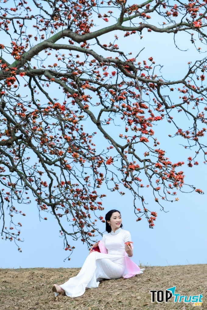 Ảnh minh họa (nguồn internet)