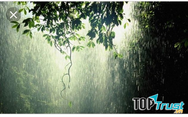 Ảnh minh họa (nguồn internet)