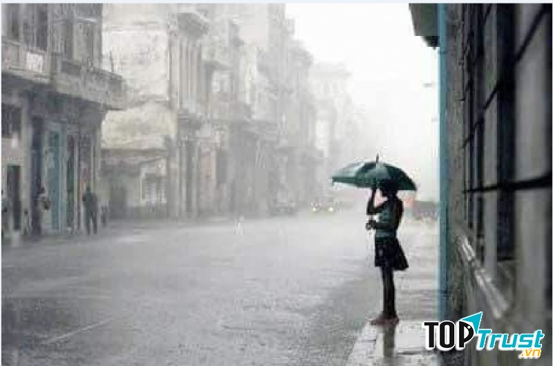 Ảnh minh họa (nguồn internet)