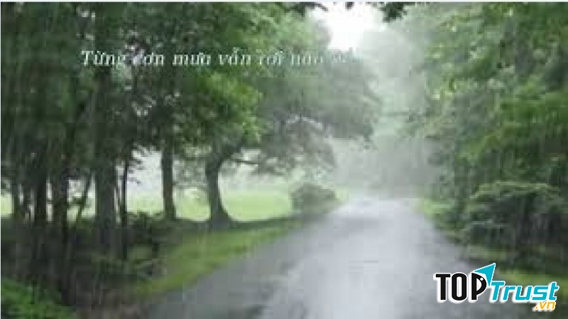 Ảnh minh họa (nguồn internet)