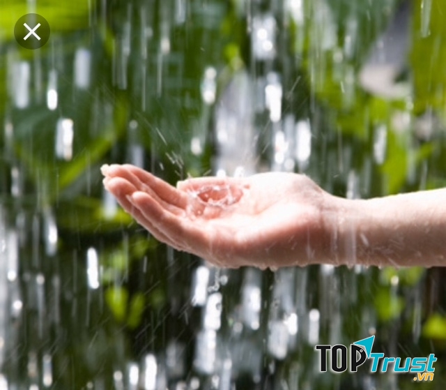 Ảnh minh họa (nguồn internet)