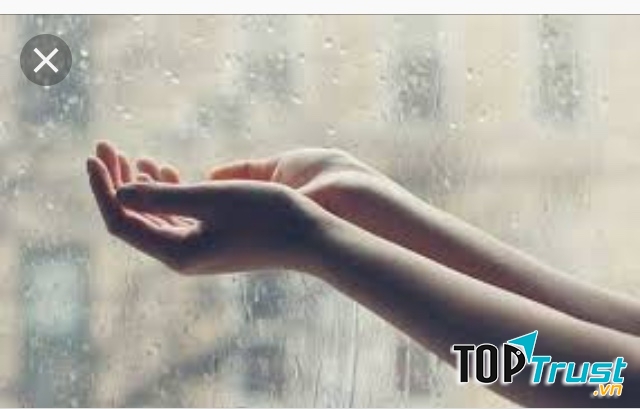 Ảnh minh họa (nguồn internet)