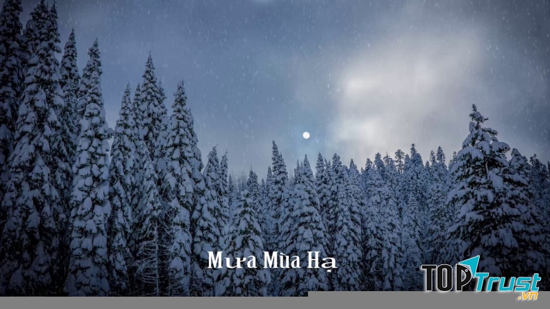 Ảnh minh họa (nguồn internet)