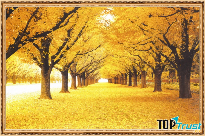 Ảnh minh họa (nguồn internet)