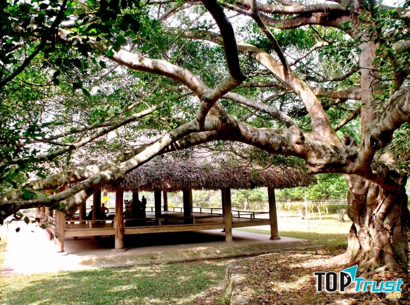 Ảnh minh họa (nguồn iternet)