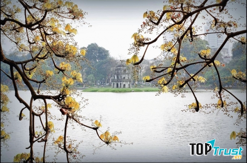 Ảnh minh họa (nguồn internet)