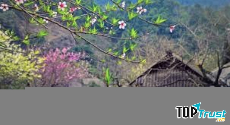 Ảnh minh họa (nguồn internet)