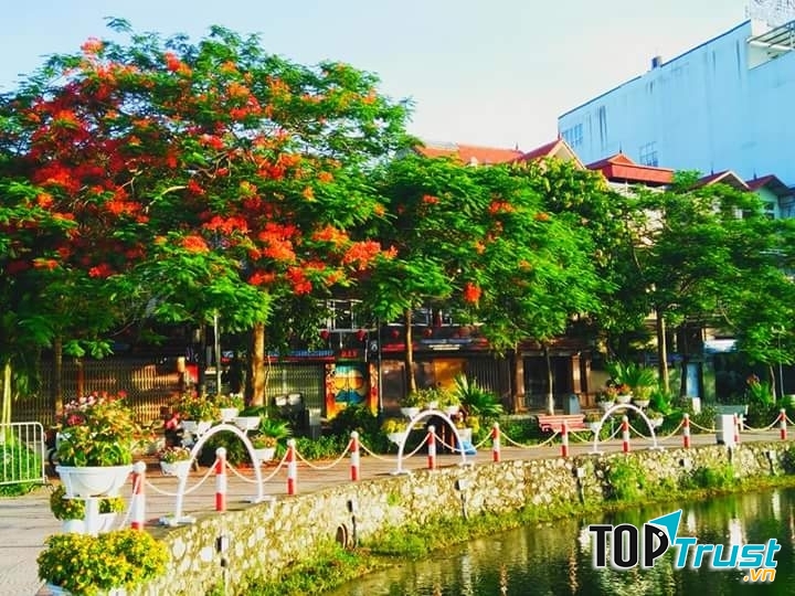 Ảnh minh họa (nguồn internet)