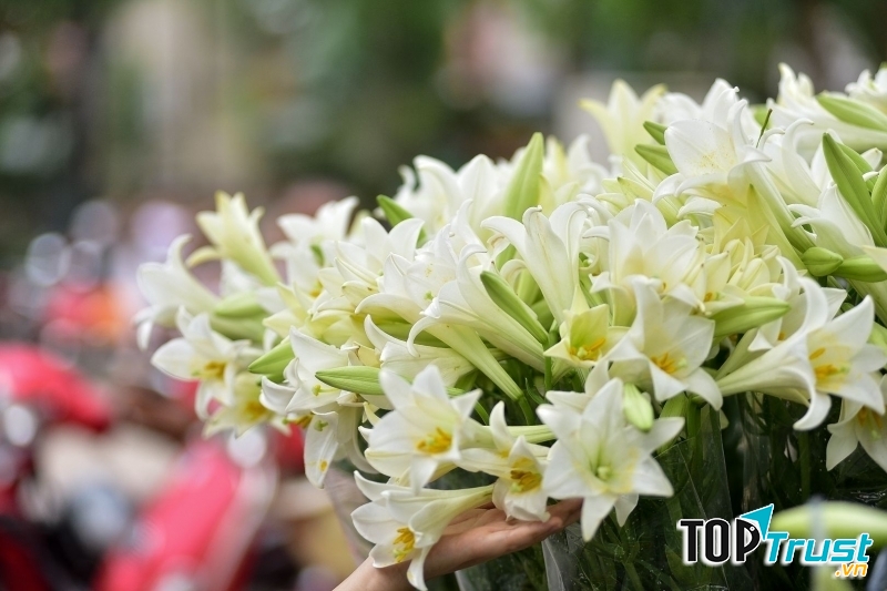 Ảnh minh họa (nguồn internet)