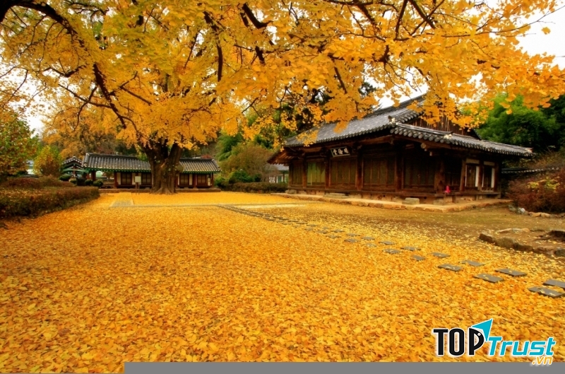 Ảnh minh họa (nguồn internet)