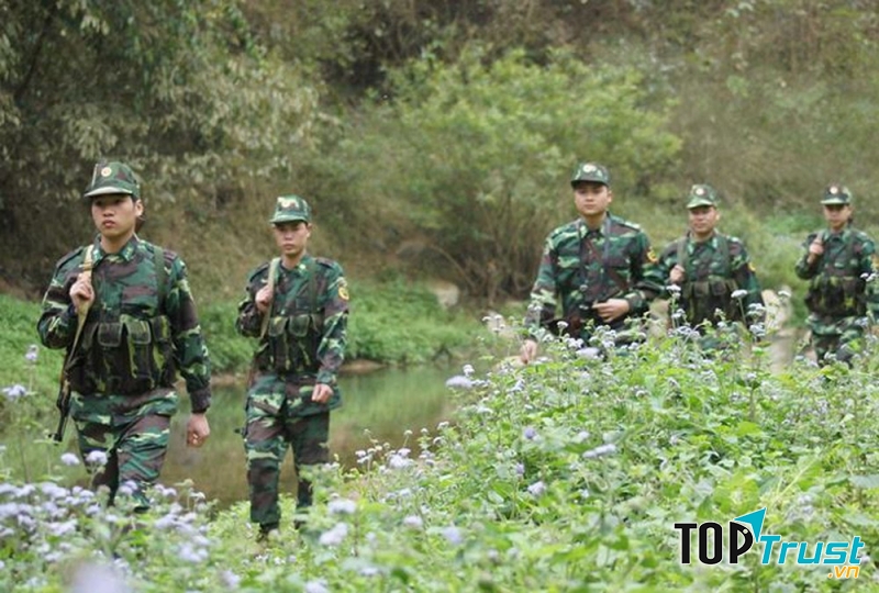 Ảnh sưu tầm (nguồn internet)