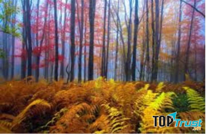 Ảnh minh họa (nguồn internet)