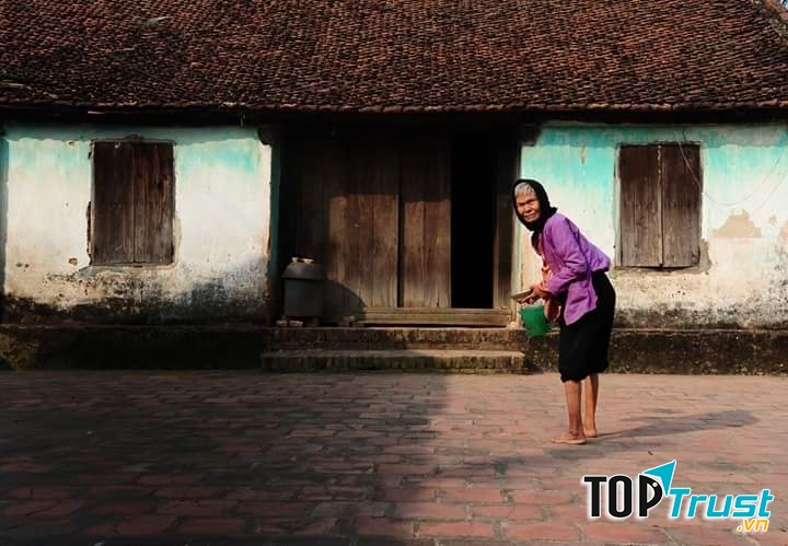 Ảnh minh họa (nguồn internet)