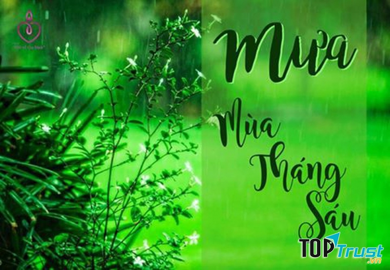 Ảnh minh họa (nguồn internet)