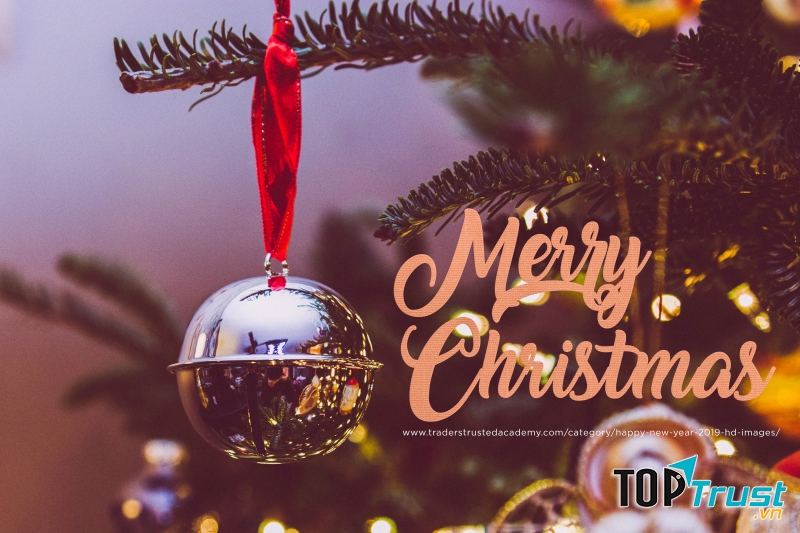 Ảnh minh họa (nguồn internet)