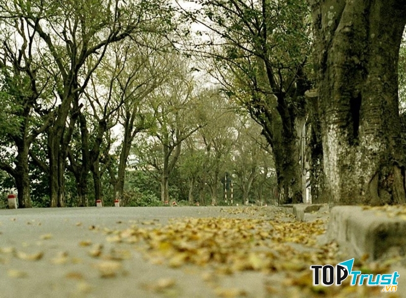 Ảnh minh họa (nguồn Internet)