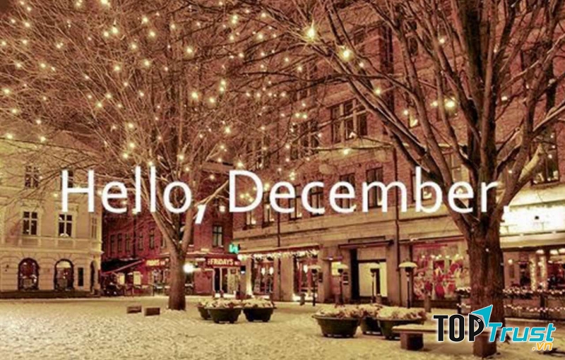 Ảnh minh họa (nguồn internet)