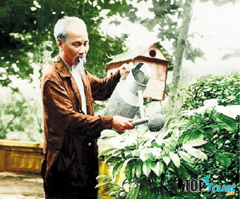 Ảnh chân dung bác Hồ (nguồn Internet)