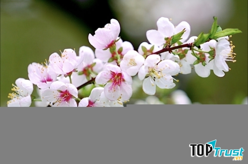 Ảnh minh họa (nguồn internet)