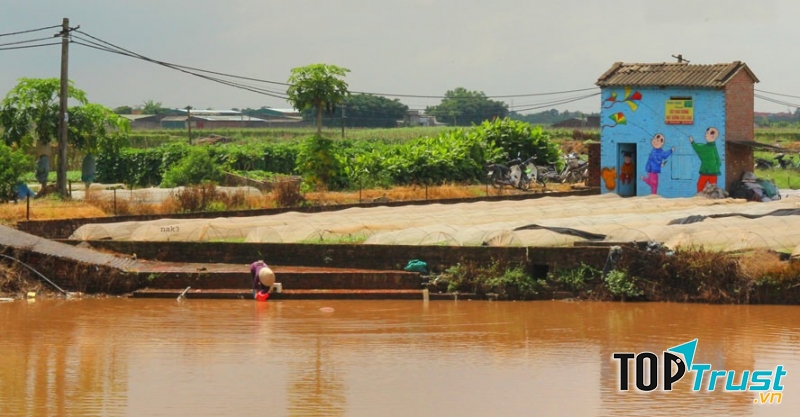 Ảnh minh họa (nguồn internet)