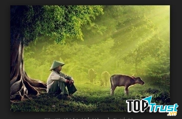 Ảnh minh họa (nguồn internet)