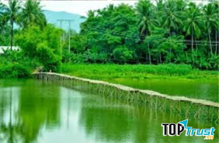 Ảnh minh họa (nguồn internet)