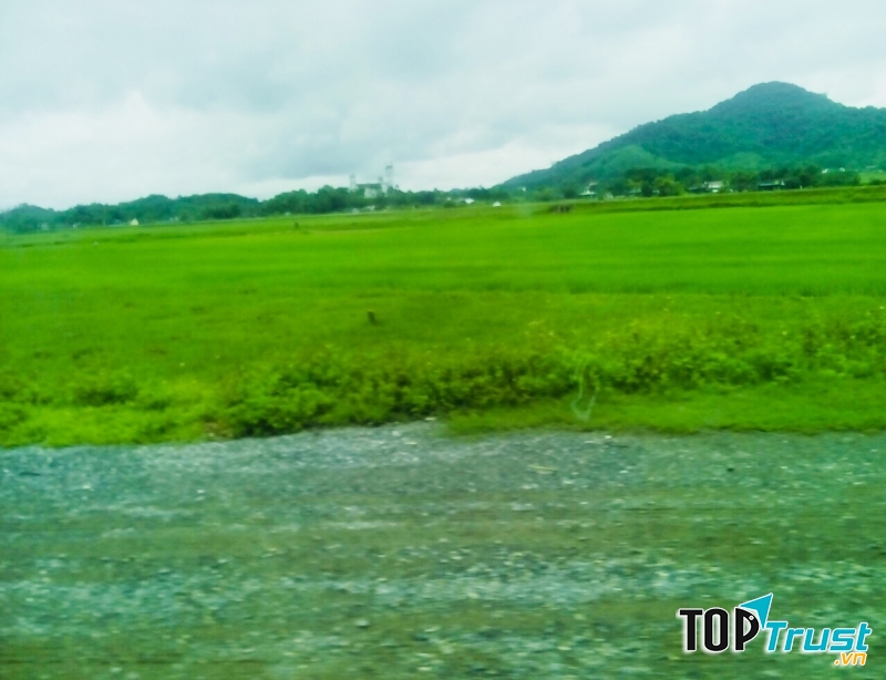 Ảnh minh họa Nguyễn Hương