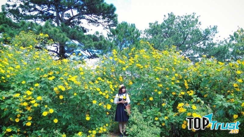 Ảnh minh họa (nguồn internet)