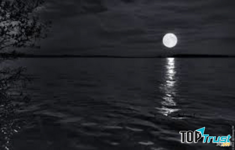 Ảnh minh họa (Nguồn internet)