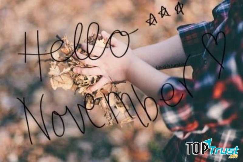 Ảnh minh họa (nguồn internet)