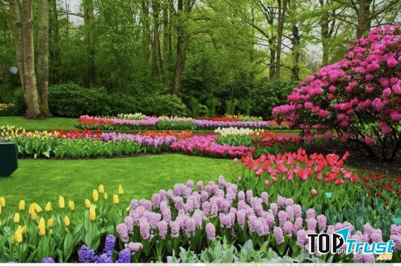 Ảnh minh họa (nguồn internet)