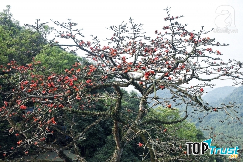 Ảnh minh họa (nguồn internet)