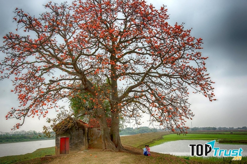 Ảnh minh họa (nguồn internet)