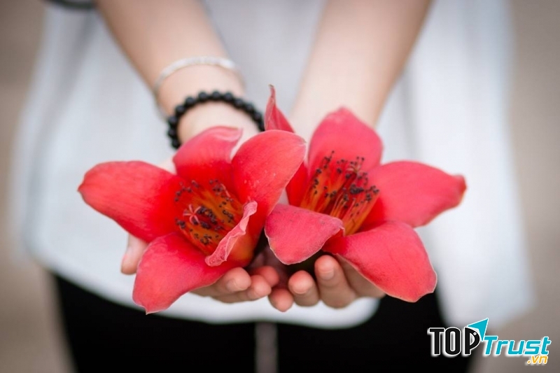 Ảnh minh họa (nguồn internet)