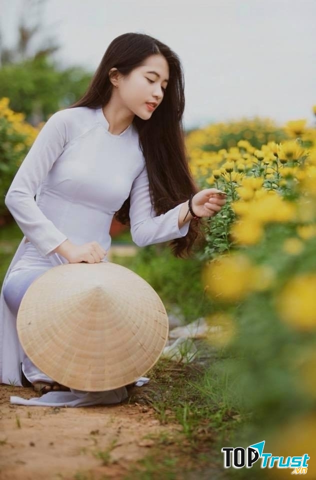 Ảnh minh họa (nguồn internet)