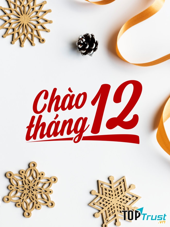 Ảnh minh họa (nguồn internet)