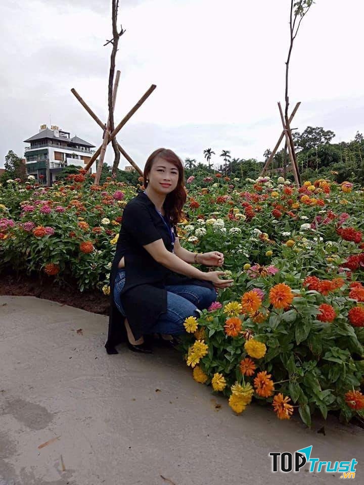 Ảnh chân dung nhà thơ Hoàng Như Phượng