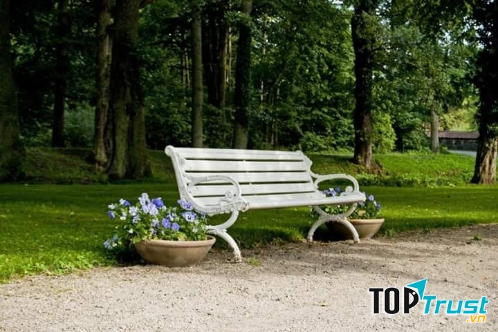 Ảnh minh họa (nguồn internet)