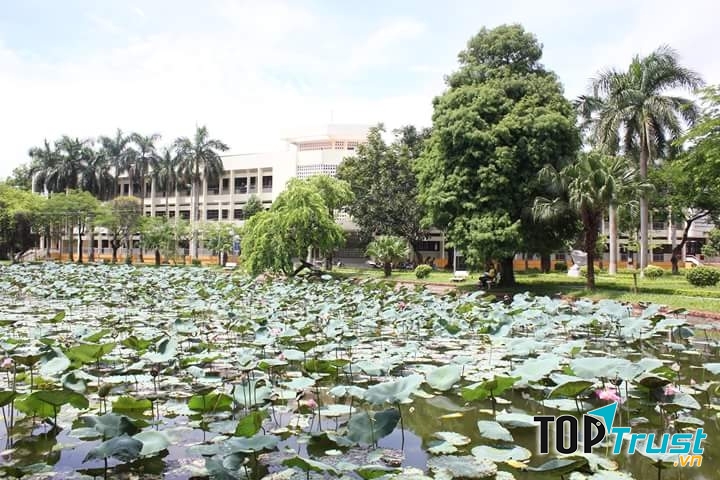 Ảnh minh họa Chu Minh Khôi