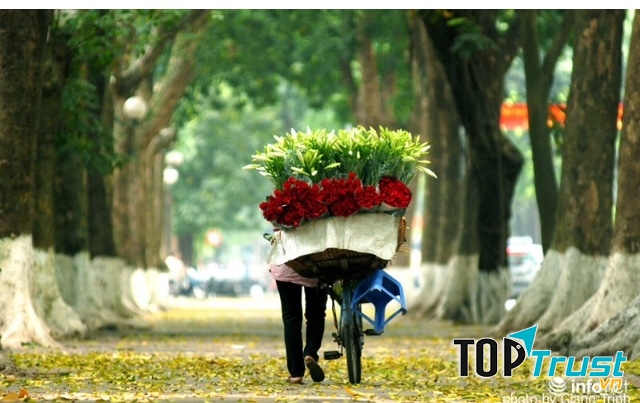 Ảnh minh họa (nguồn internet)