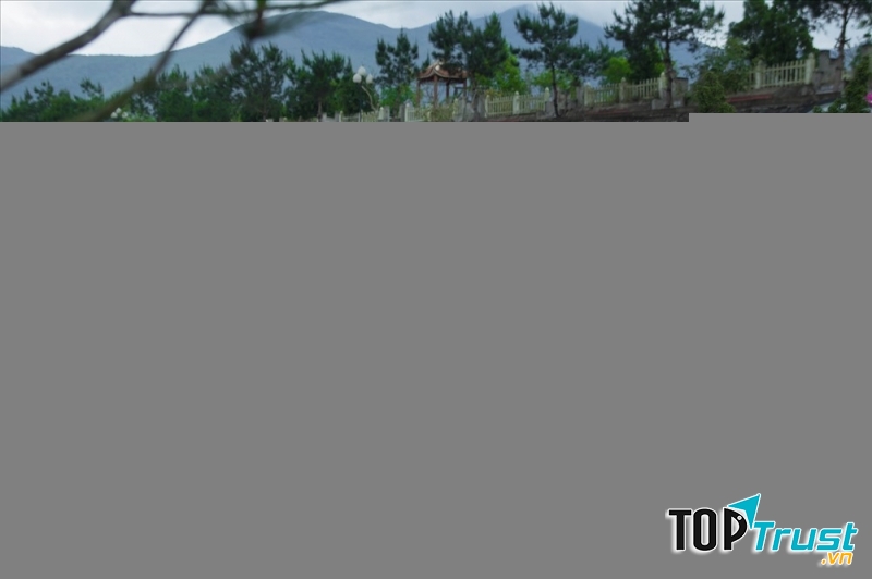 Ảnh minh họa (nguồn internet)